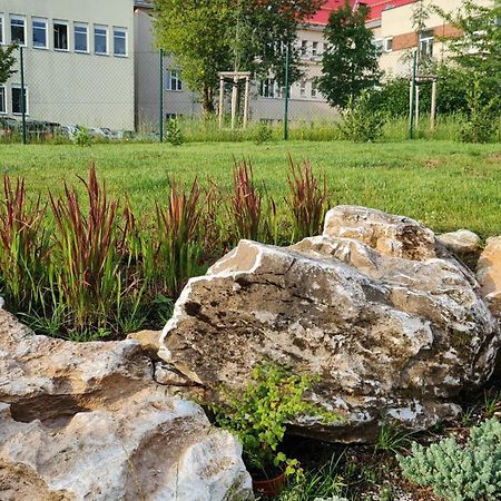 Apartmany Zamecka 伊莱姆尼采 外观 照片