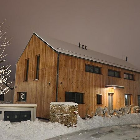 Apartmany Zamecka 伊莱姆尼采 外观 照片