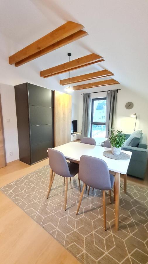 Apartmany Zamecka 伊莱姆尼采 外观 照片