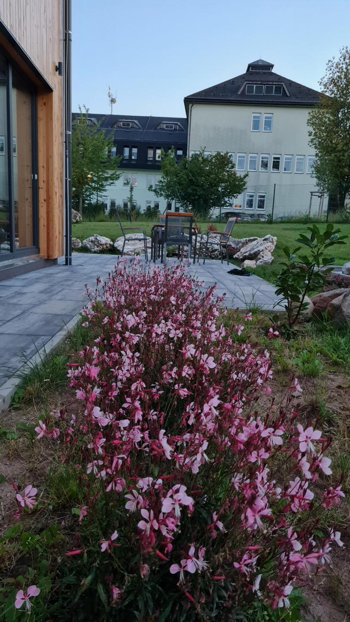 Apartmany Zamecka 伊莱姆尼采 外观 照片
